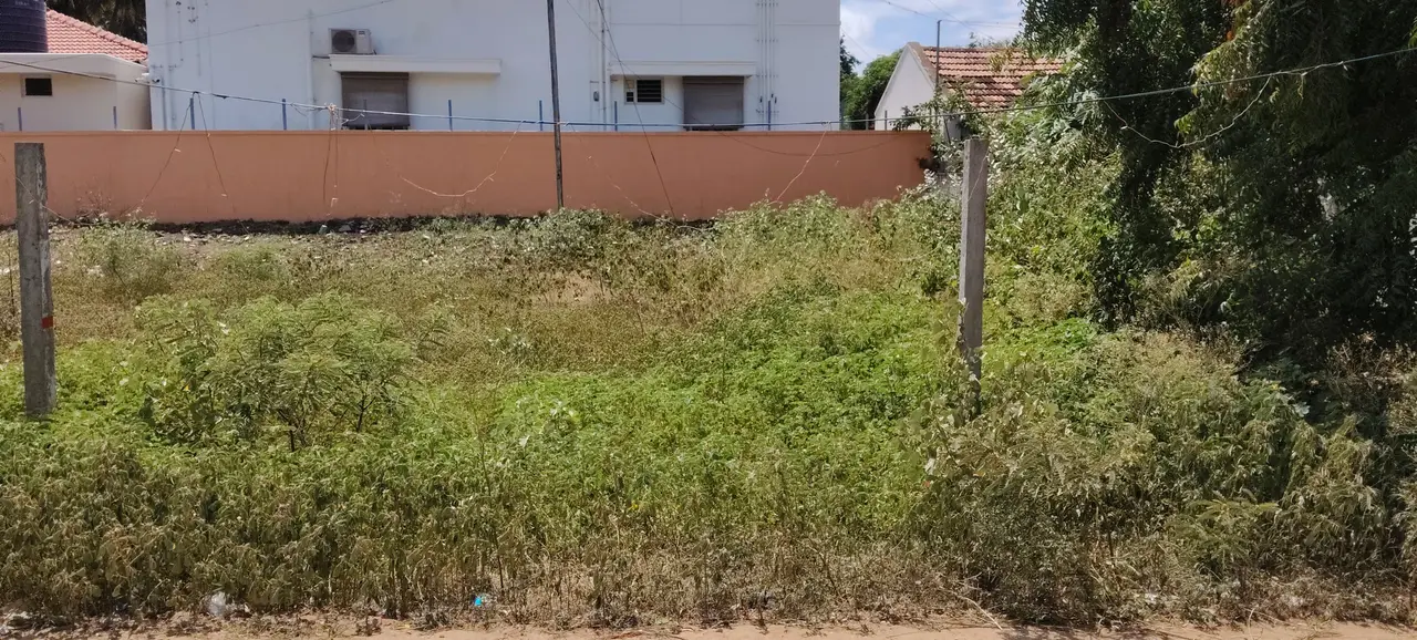 Plot for Sale in Thondamuthur - 1