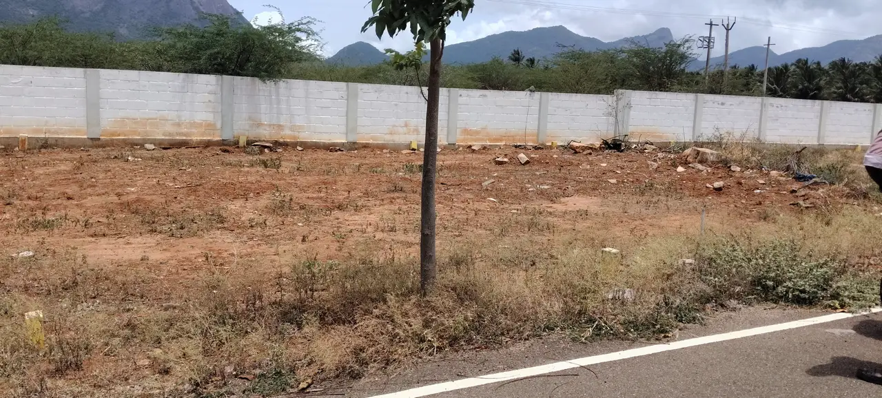 Plot for Sale in Theethi Palayam - 1