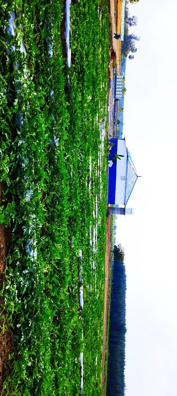 KALAI FARM LAND - 1