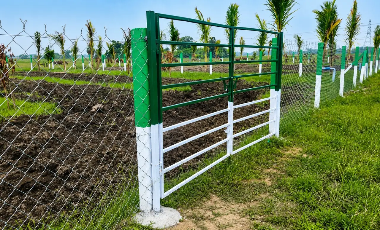 KALAI FARM LAND - 4