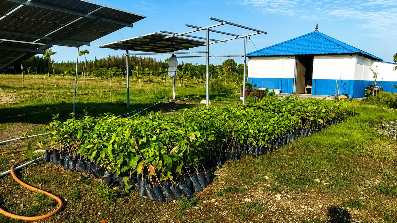 KALAI FARM LAND - 8