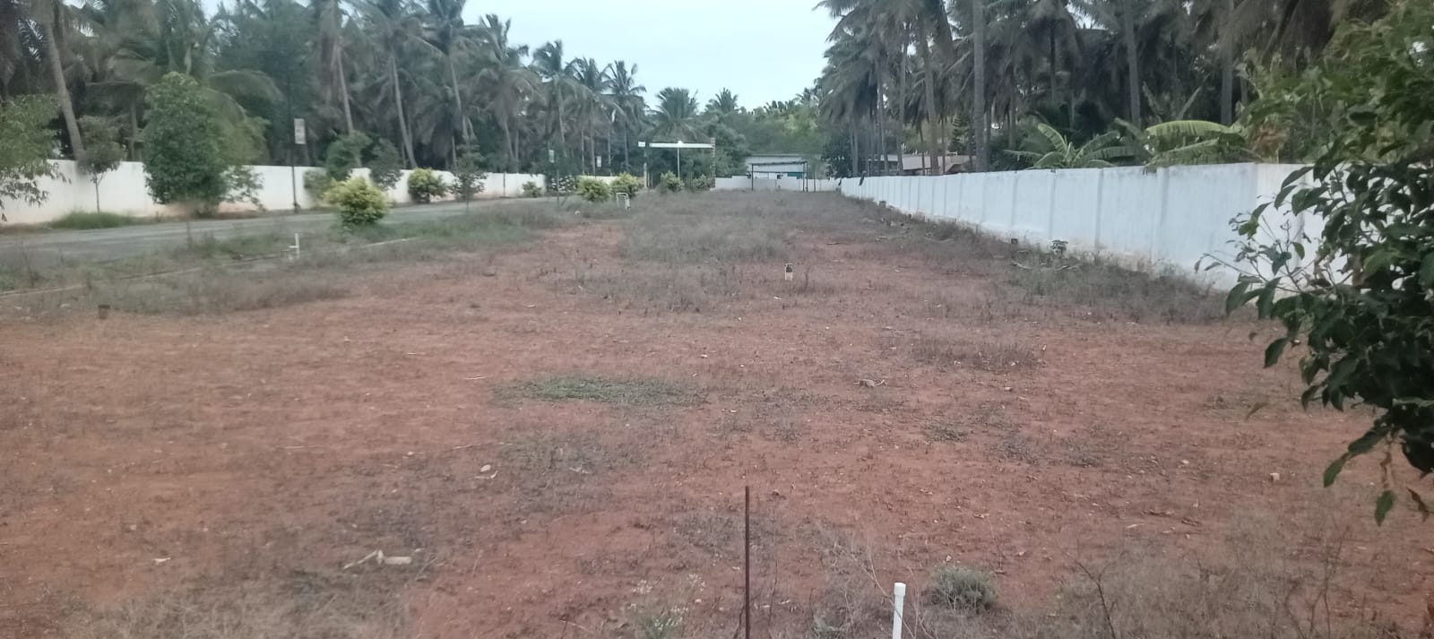 Plot for Sale in vellalore  - 6